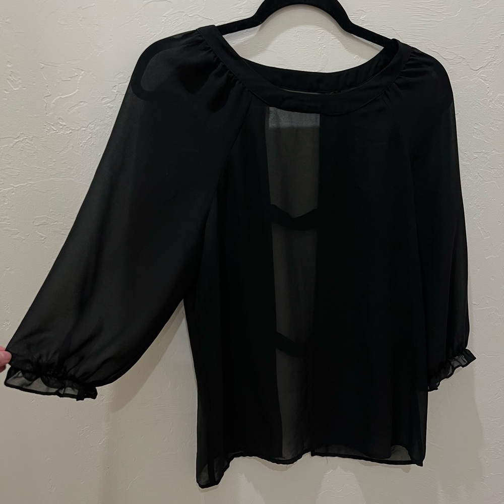 Petticoat Alley Black Sheer Blouse
